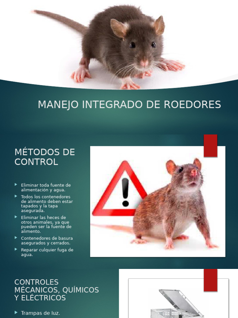 CONTROL DE ROEDORES | PDF
