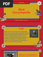 Overview Of Eagle Taxonomy And Species Pdf