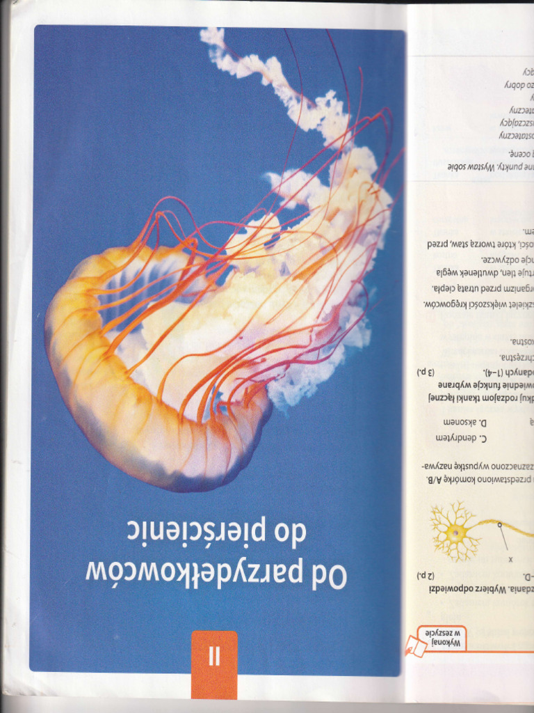 Img 20250110 0025 | PDF
