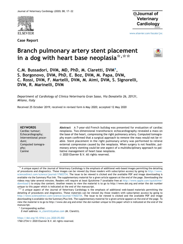 Pulmonary Artery Stenting in Canine Neoplasia | PDF | Vein ...