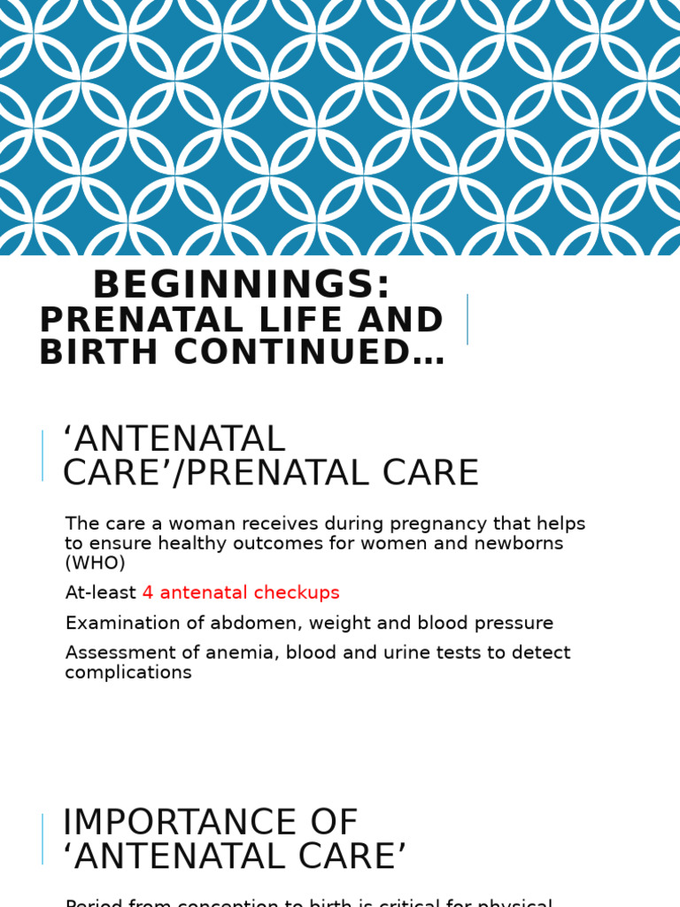 Prenatal Care and Birth Risks Guide | PDF | Prenatal Development ...