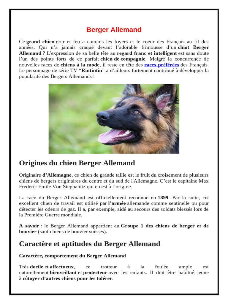 Berger Allemand | PDF | Berger allemand | Chiens, image size:768x1024