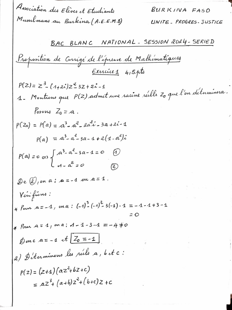 Bac Math | PDF
