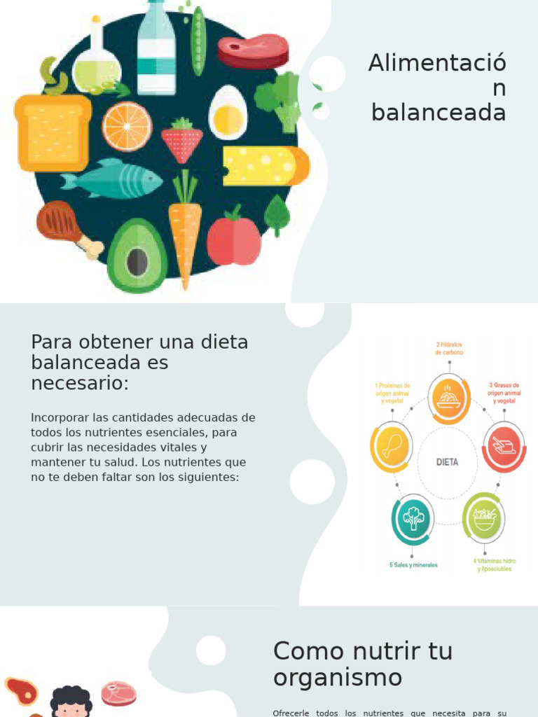 Guía para una Alimentación Balanceada | PDF