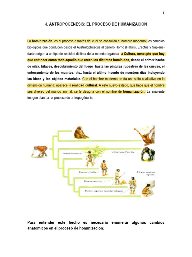 Antropogénesis: Proceso de Humanización | PDF | Humano | Evolución humana