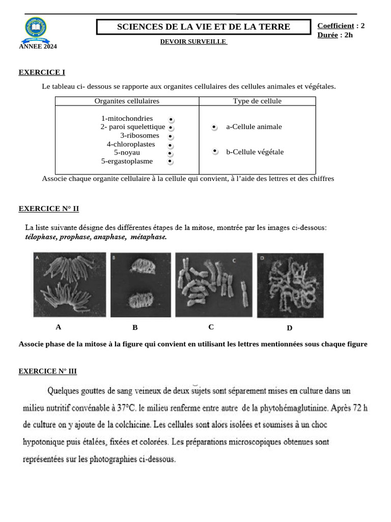DEVOIR_2C_2024[2] | PDF