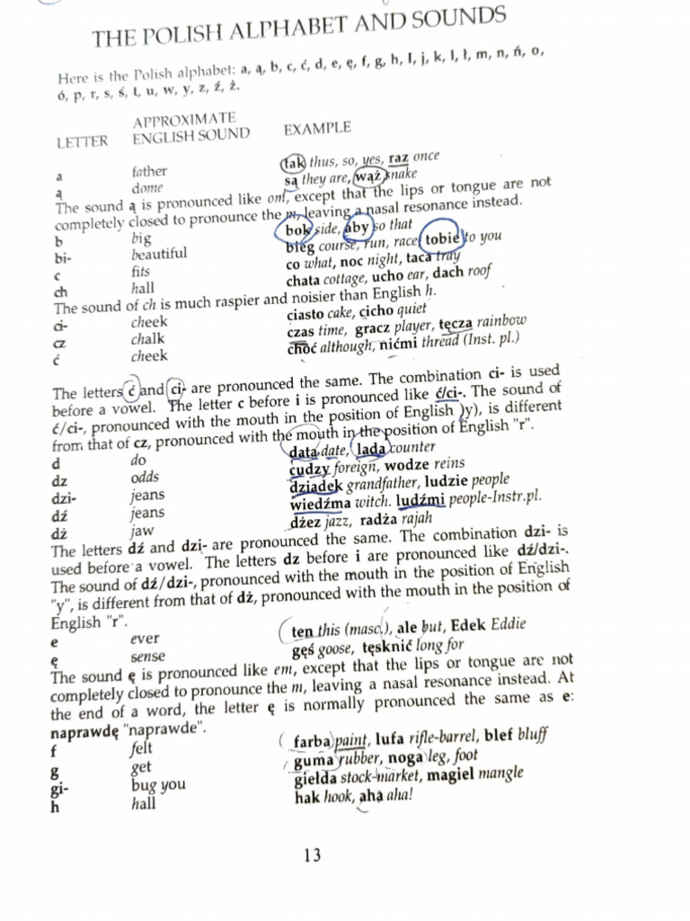 Polish Part 1 | PDF