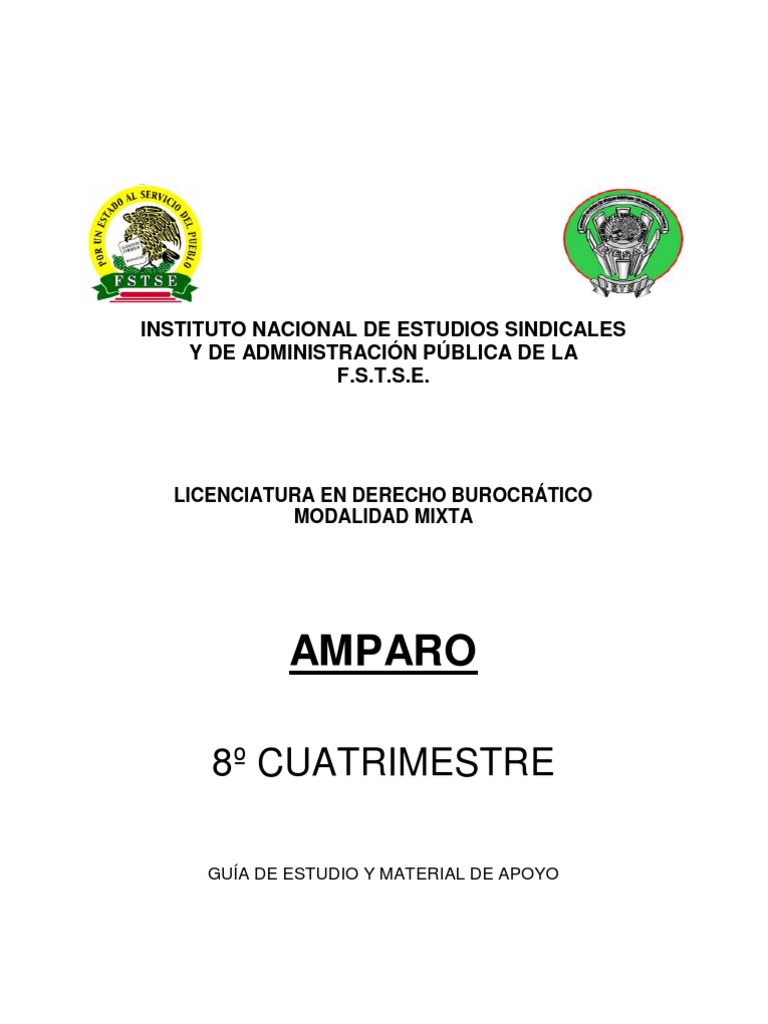 Guía de Estudio sobre Amparo | PDF | Caso de ley | Derecho Constitucional