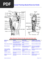 Dr. Tan's Balance Method | PDF | Human Leg | Acupuncture