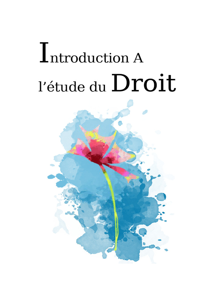 Introduction au Droit et ses Fondements | PDF | Loi | Loi internationale