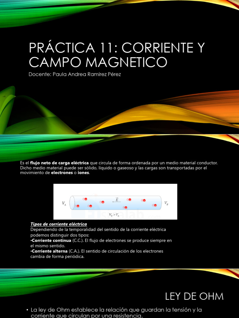 Corriente y Campo Magnético Explicados | PDF | Campo magnético