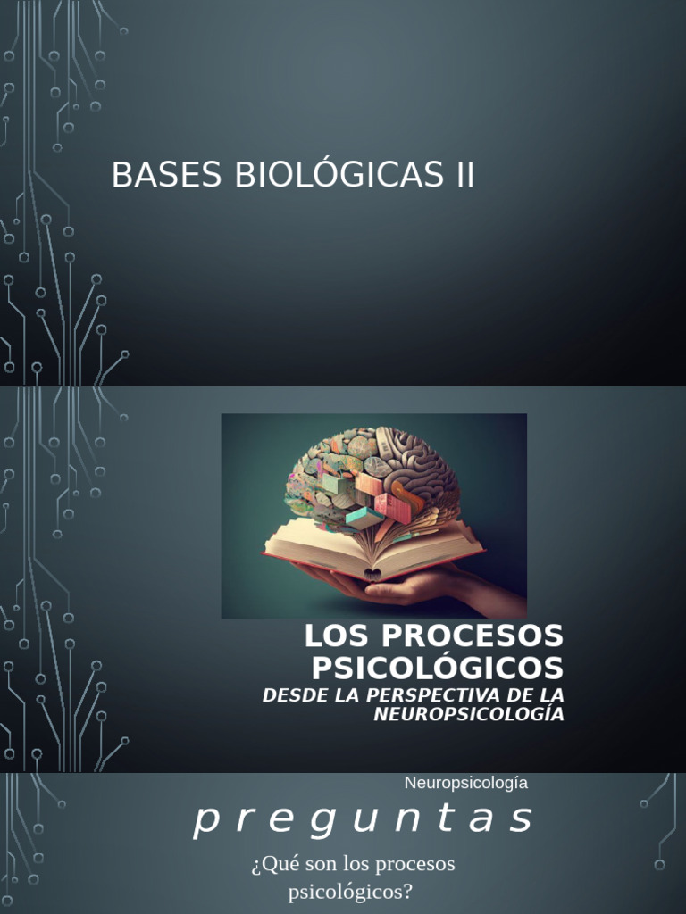 Bases Biológicas de Procesos Psicológicos | PDF | Cerebro | Sicología