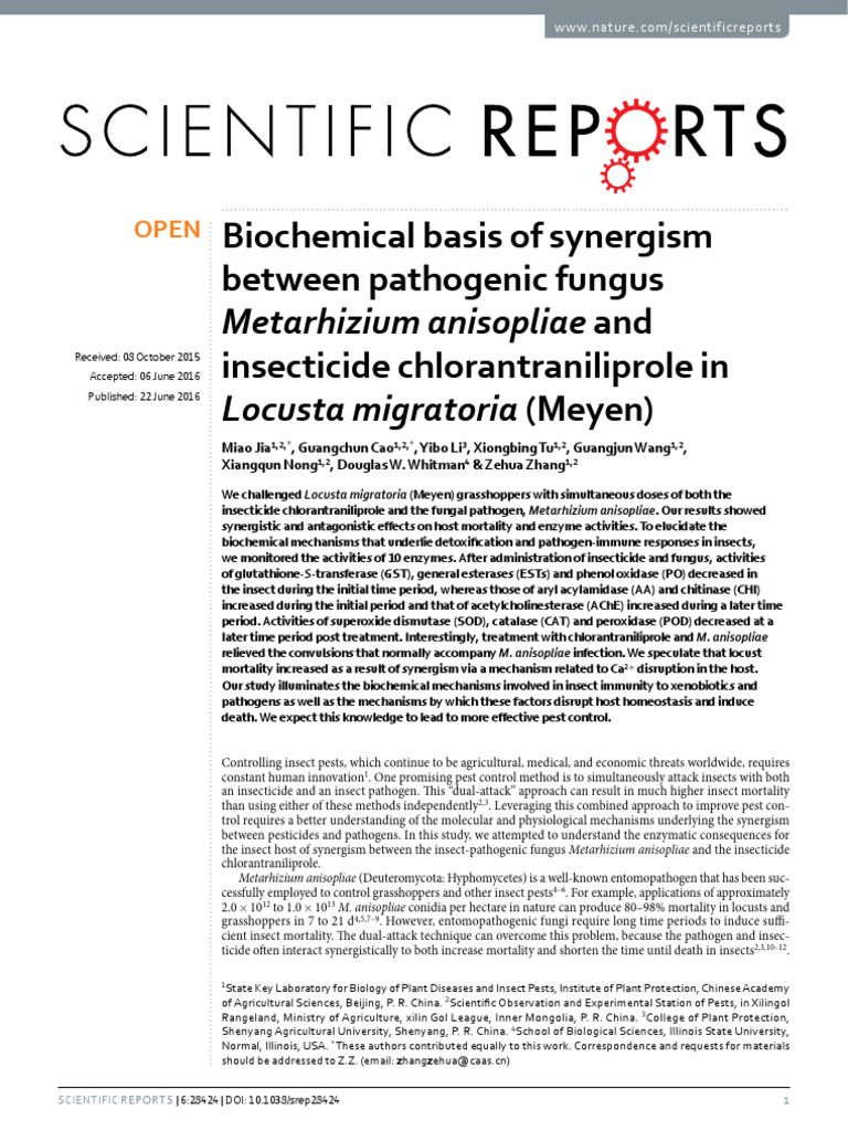 Synergistic Effects of Fungus and Insecticide | PDF | Superoxide ...
