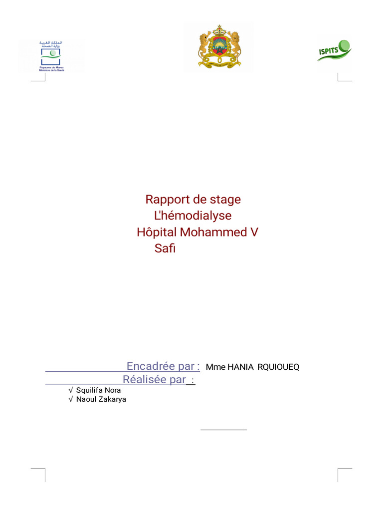 Rapport de stage en hémodialyse | PDF | Hémodialyse | Spécialités médicales