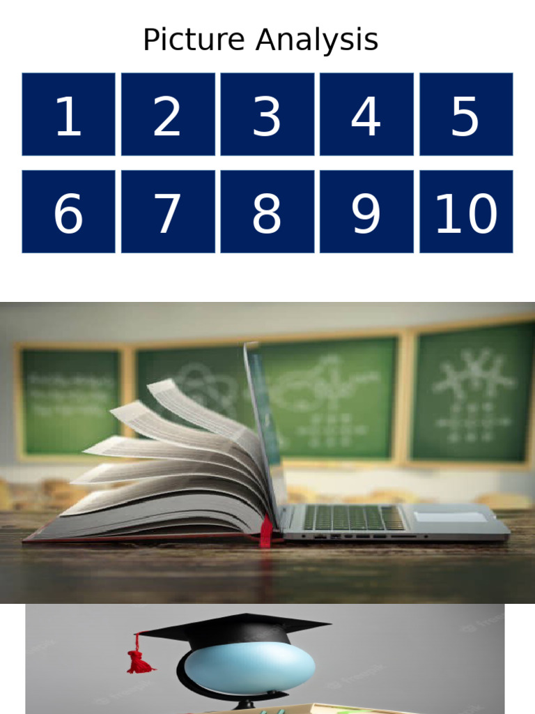 Picture Analysis Guide | PDF