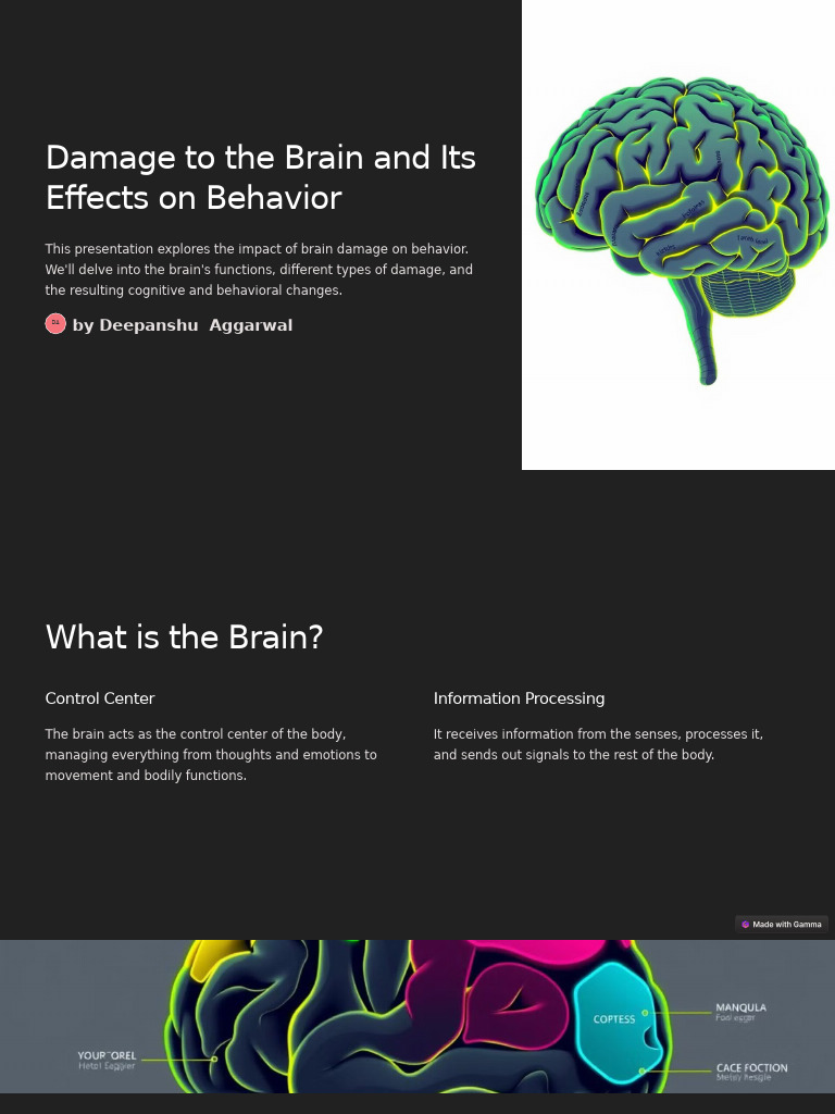Brain Damage Impact On Behavior Pdf Concussion Traumatic Brain