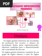 Tipos de Hímen e Suas Características | PDF