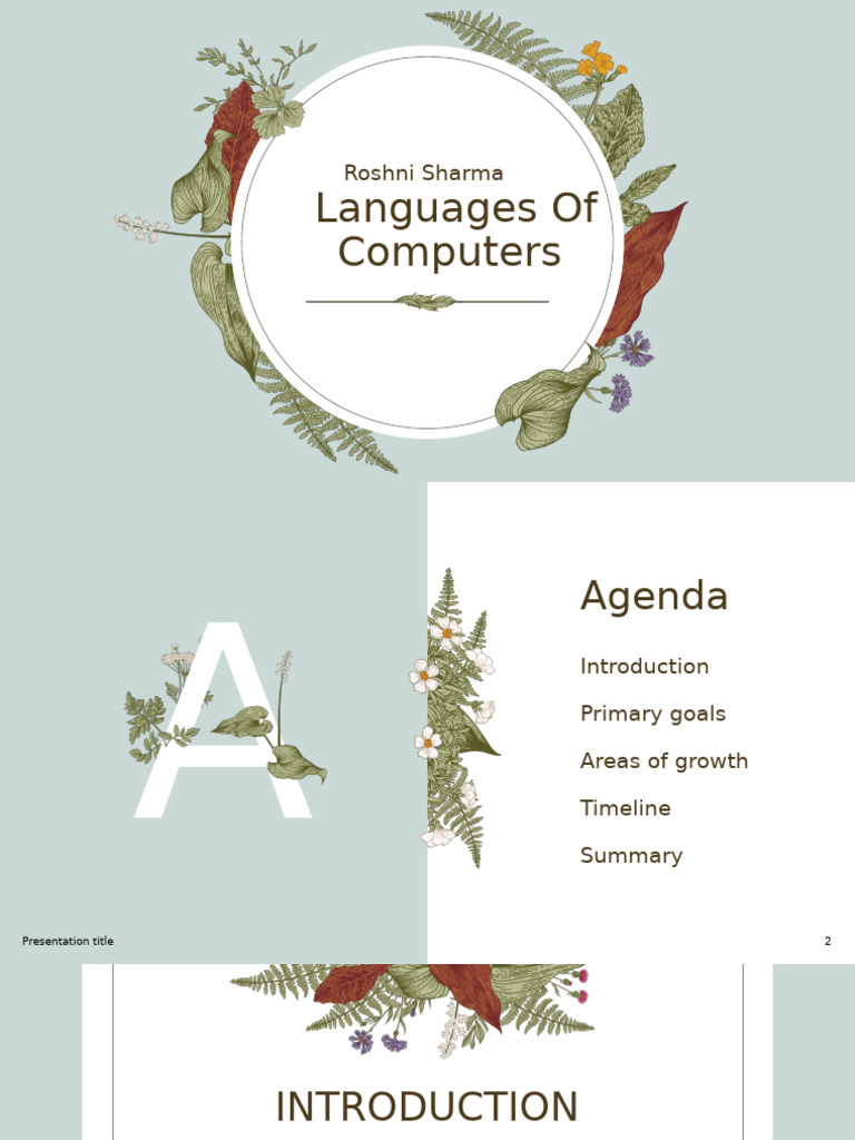 Languages of Computers | PDF | Business | Computing