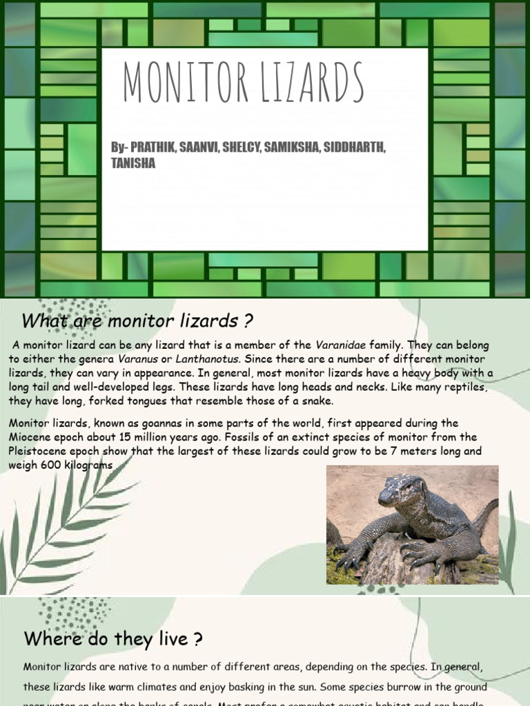 Monitor Lizards: Habitat and Importance | PDF | Biodiversity | Lizard