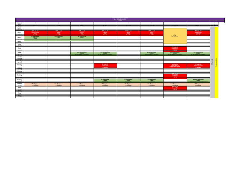 Collegerooster Premasterprogramma SJD en MER | PDF