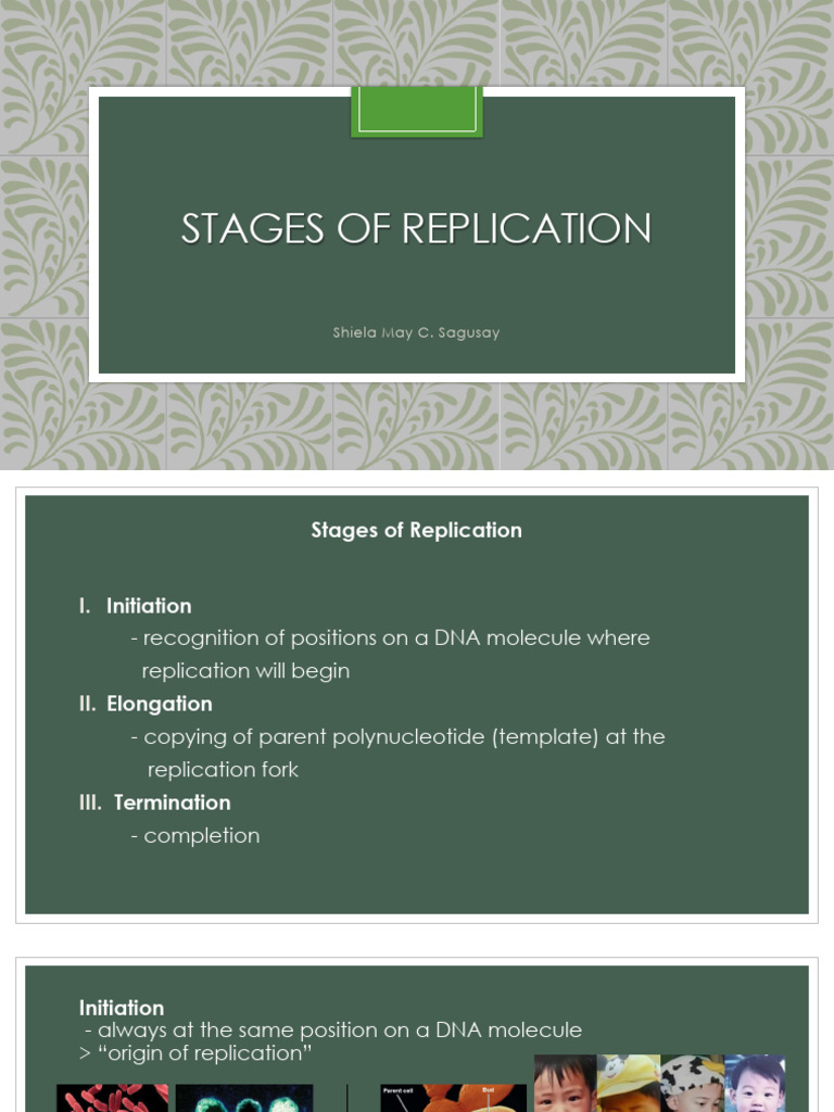 Replication | PDF