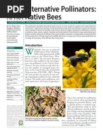Download 40731158 Alternative Pollinators Native Bees by Danni Vaida SN81438048 doc pdf