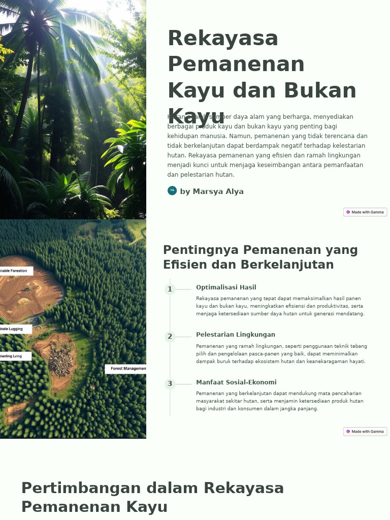 Rekayasa Pemanenan Kayu Dan Bukan Kayu | PDF