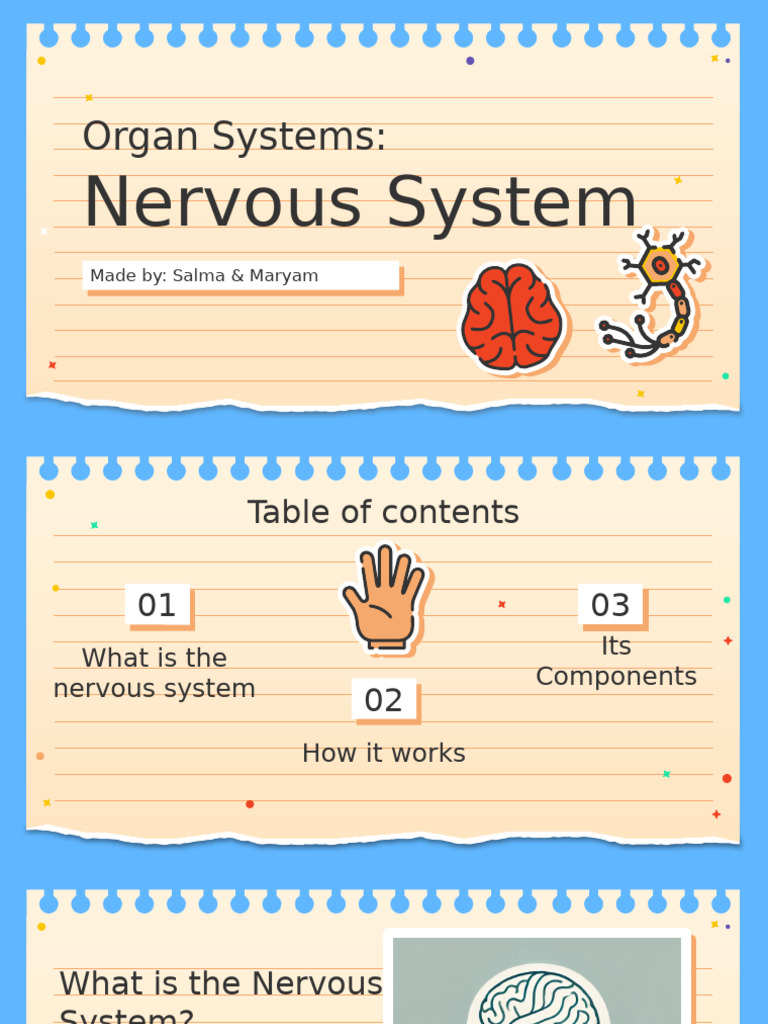 Understanding the Nervous System | PDF | Neuron | Nervous System