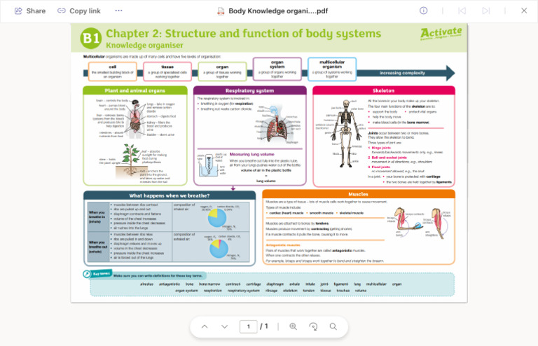 Year 7 Assessment Information - Body Knowledge | PDF