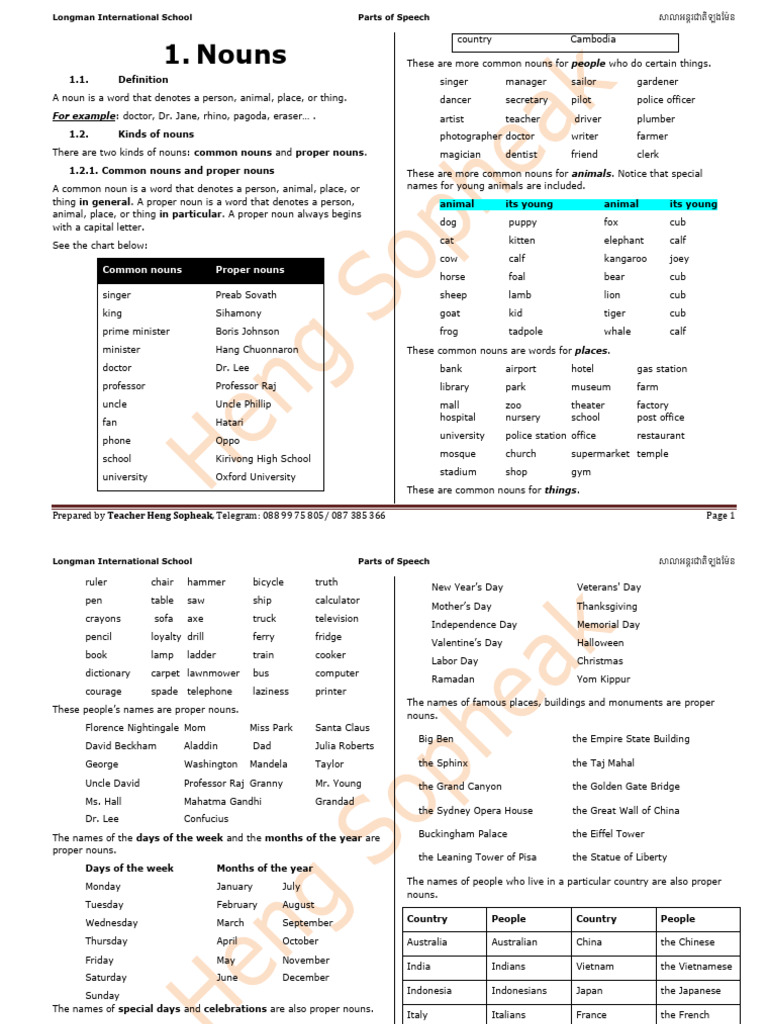 Understanding Nouns and Their Types | PDF | Grammatical Gender | Plural