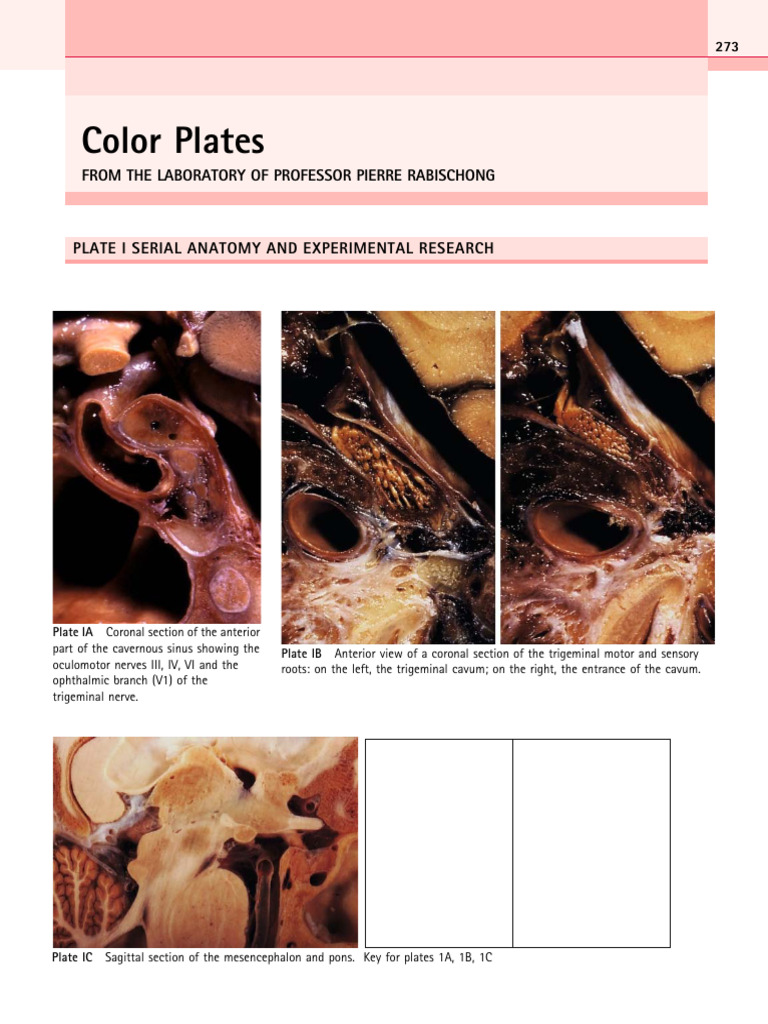 Anatomical Color Plates and Skin Alterations | PDF | Clinical Medicine ...