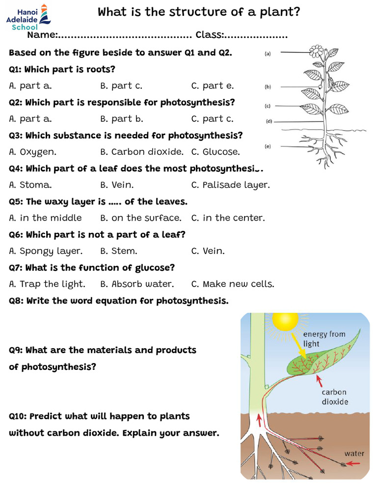 Science 7.u6.l1 Homework | PDF