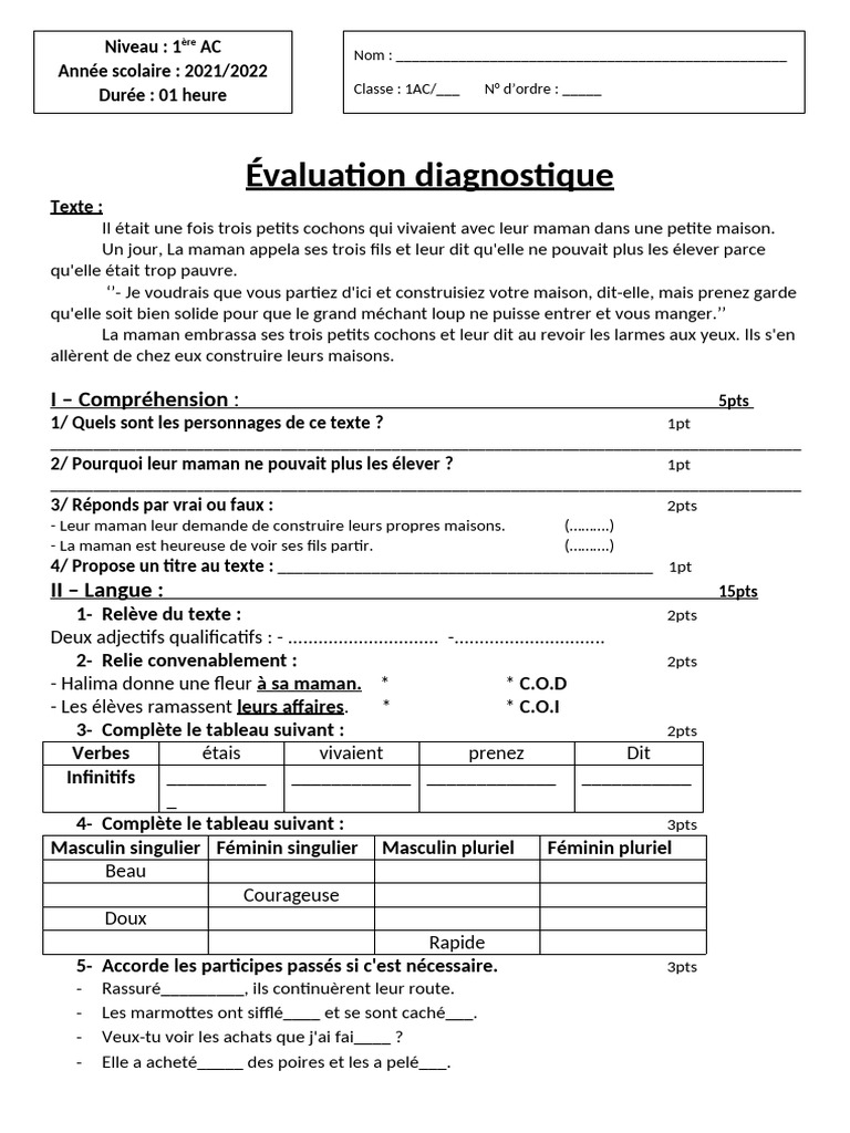 MC Test Diagnostique 1APIC | PDF | Genre grammatical | Linguistique