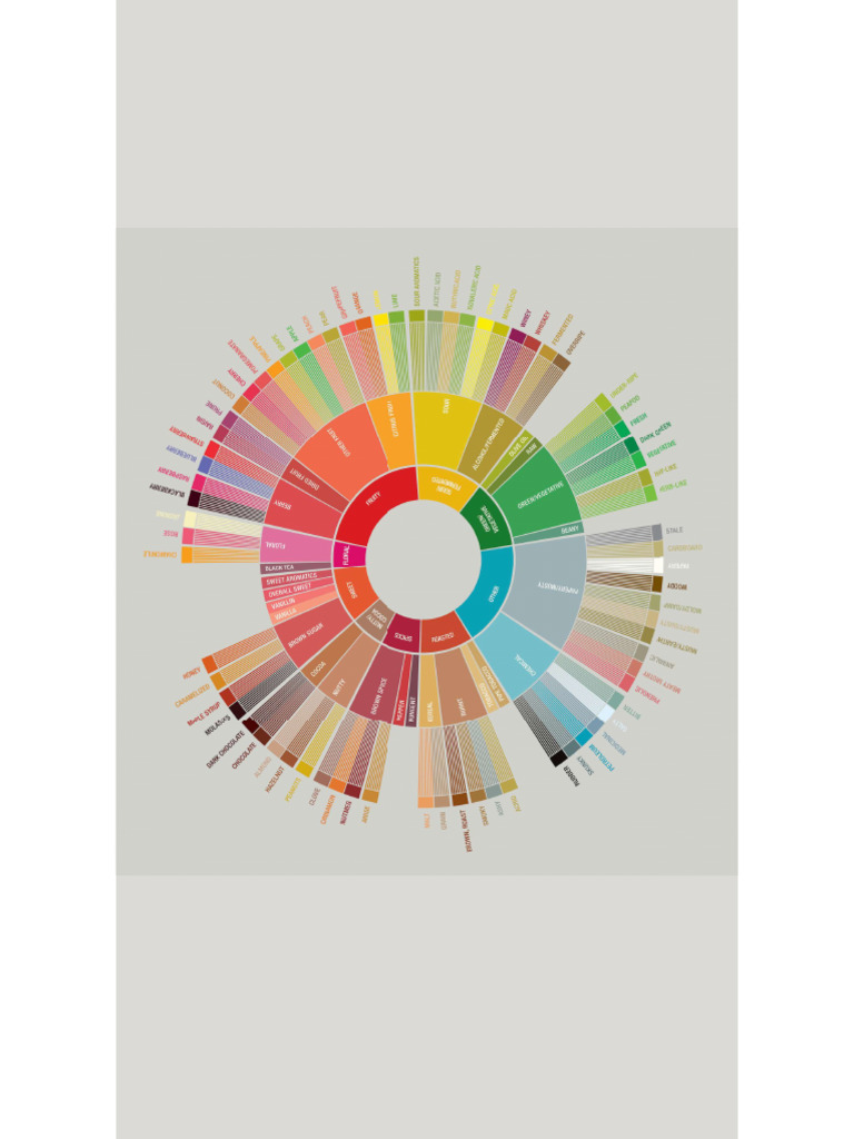 SCA Wheel Actual | PDF
