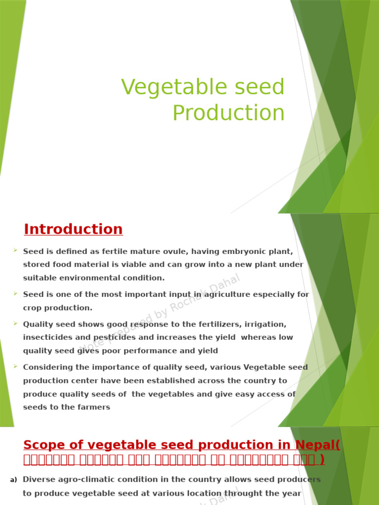 Vegetable Seed Production in Nepal | PDF | Seed | Flowers