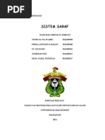 Download Makalah Histologi Sistem Saraf by Jumriah Nur SN81445283 doc pdf