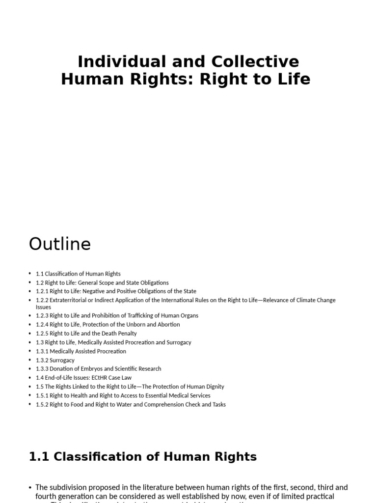 Individual and Collective Human Rights | PDF | Extradition | European ...
