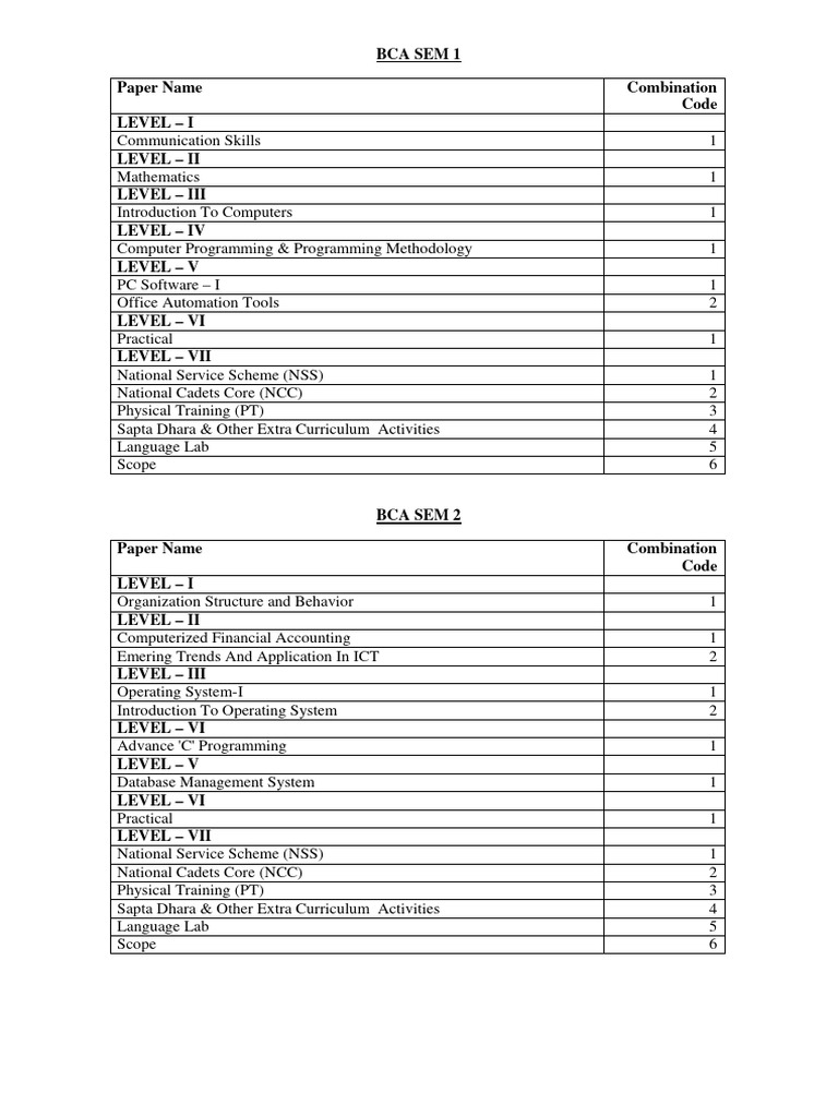 BCA Semester Course Structure Overview | PDF | Computer Programming ...