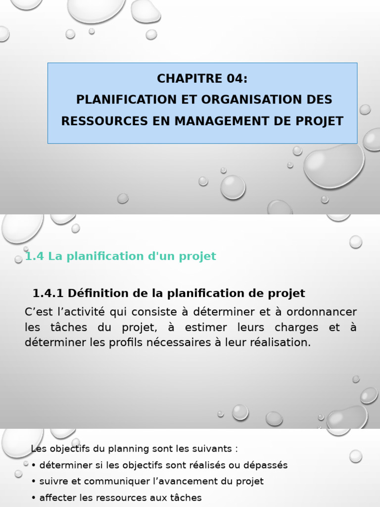 Planification et Organisation Projet | PDF | Gestion de projet ...