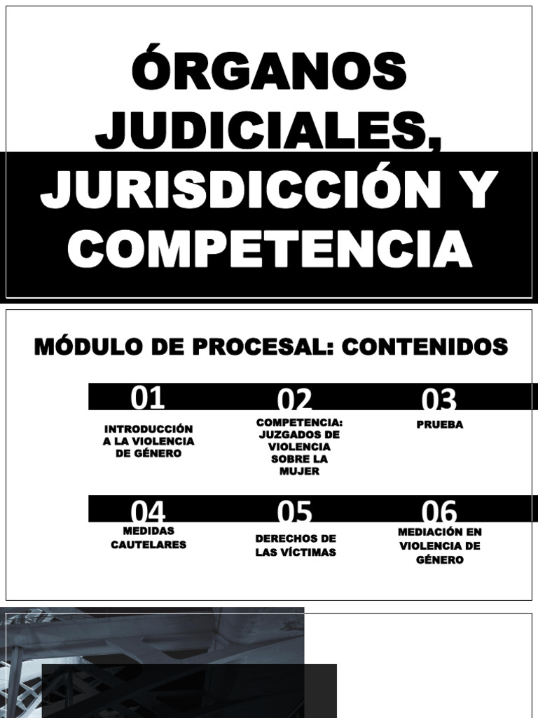 Jurisdicción y Competencia en Violencia de Género | PDF | Judicaturas ...