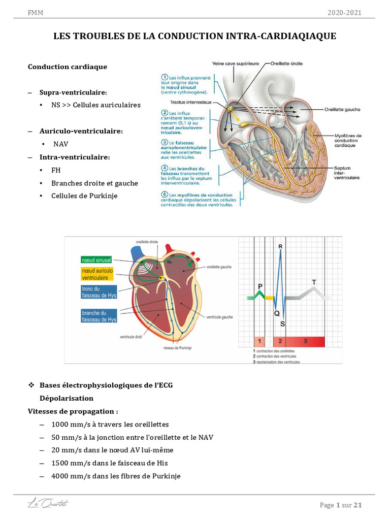 Troubles de la conduction cardiaque | PDF | Cœur | Cardiologie