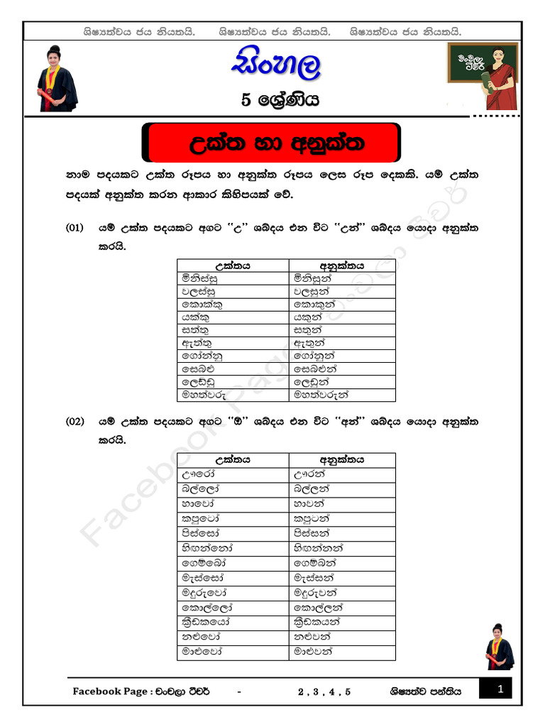 Grade 5 Sinhala Grammar Worksheets | PDF