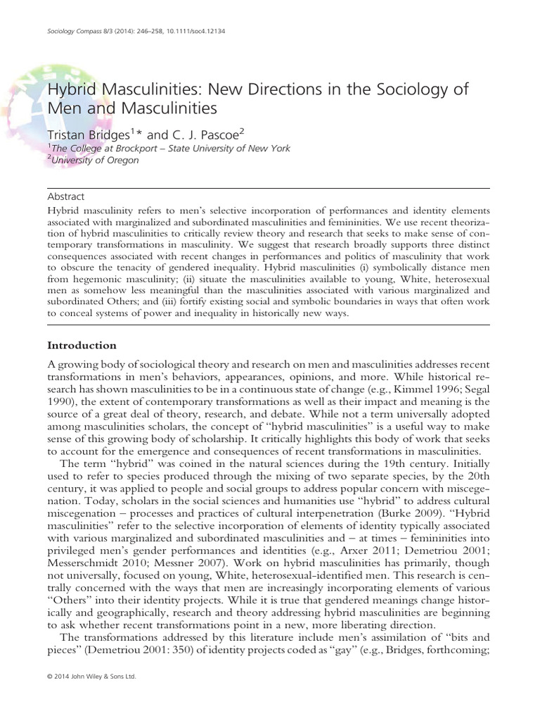 Hybrid Masculinities and Inequality | PDF | Masculinity | Gender
