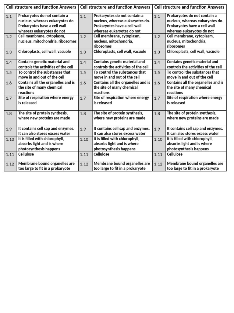 Cell Structure and Function Answers | PDF | Cell (Biology) | Prokaryote