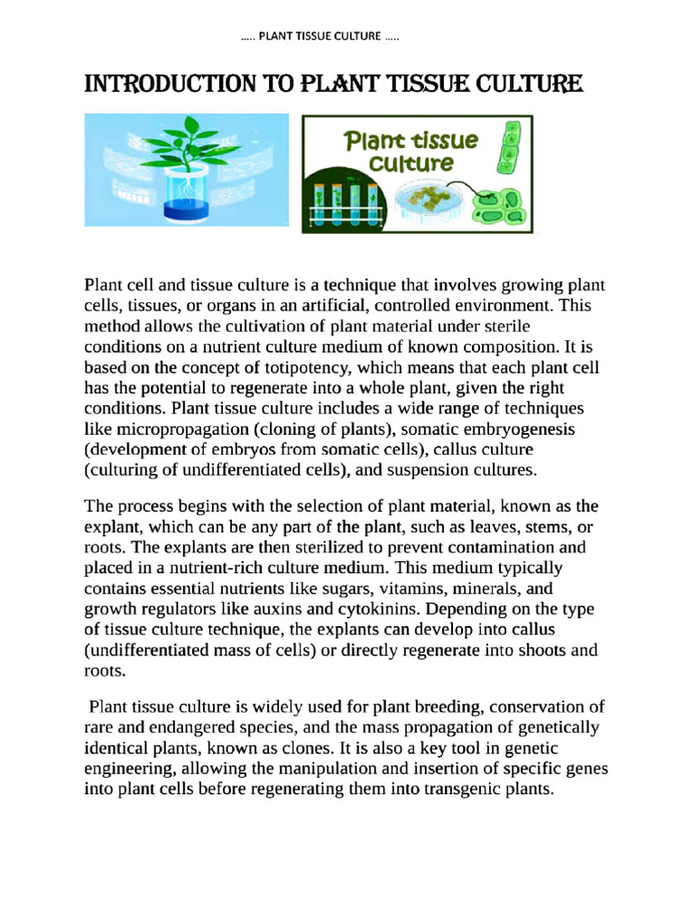 Plant Tissue Culture Techniques Explained | PDF | Genetically Modified ...