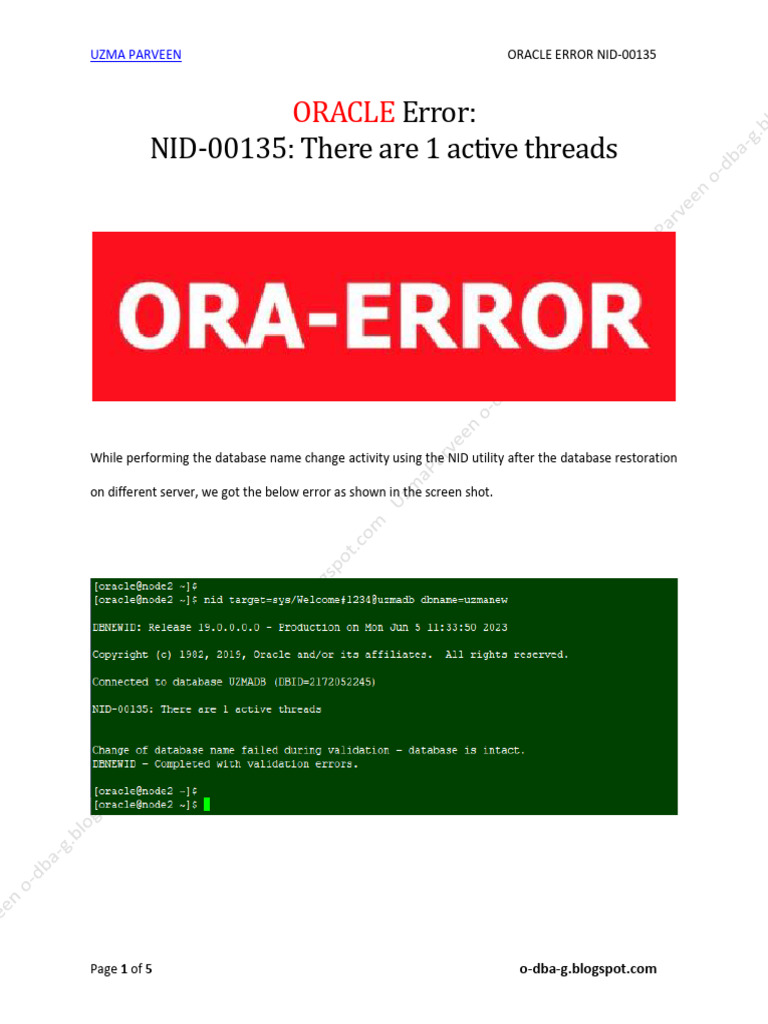 Resolving Oracle NID-00135 Error | PDF