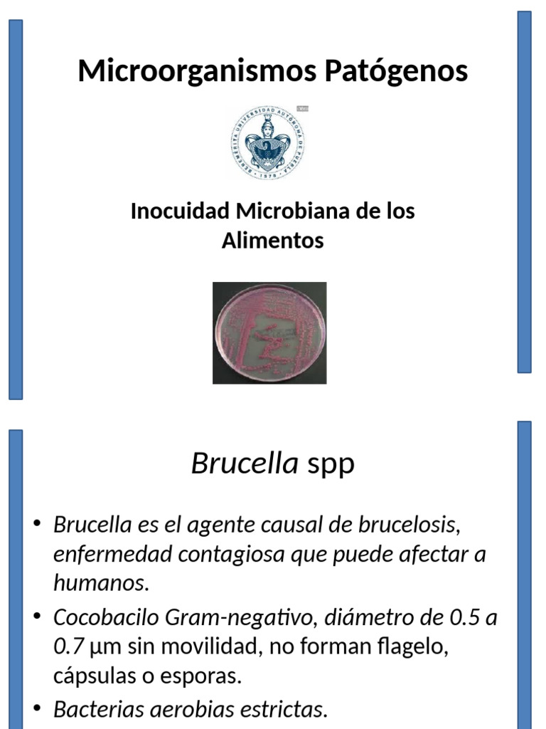 Microorganismos Patógenos | PDF