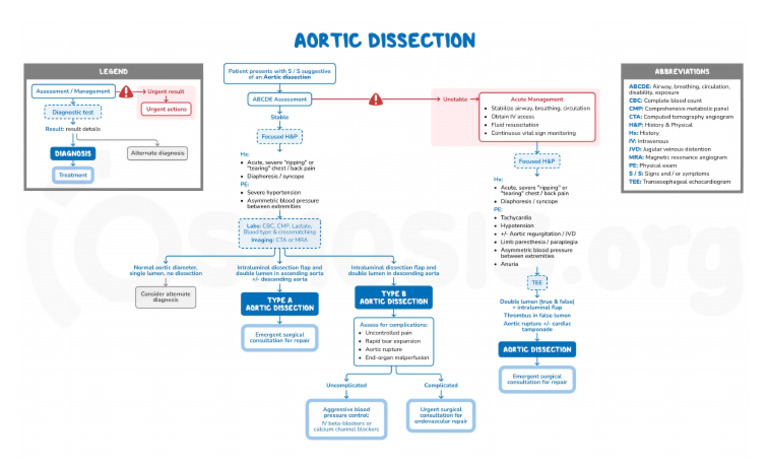 Aortic Dissection | PDF