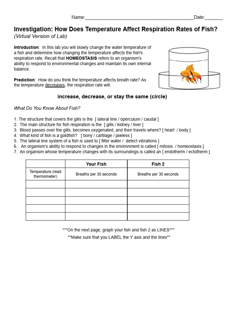 Fish Respiration and Temperature Lab | PDF | Fish | Respiratory System