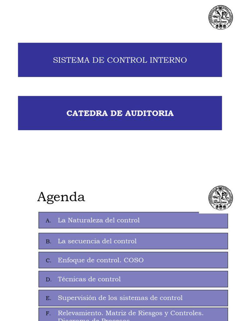Guía de Control Interno para Auditores | PDF | Auditoría | Contabilidad